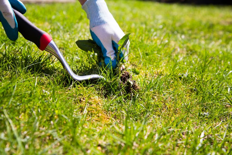 weed pulling