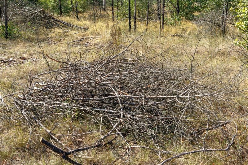 Lawn Debris Cleanup in Ventura County, CA