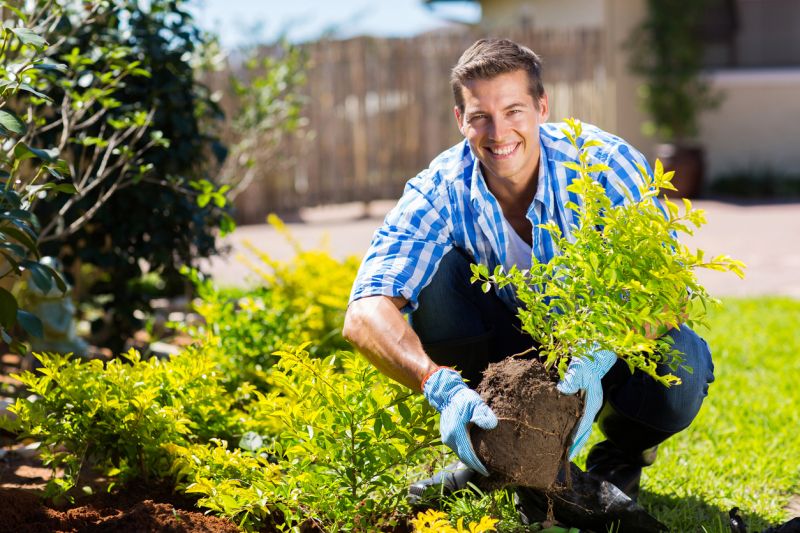 Shrub Landscaping in Honolulu, HI