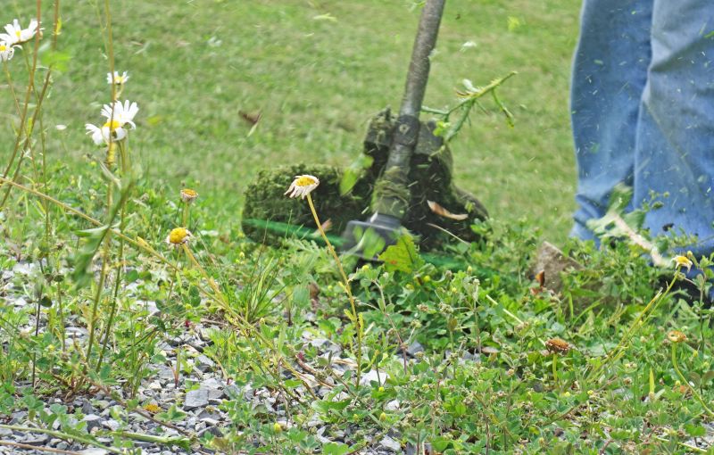 Weed Pullings in Action