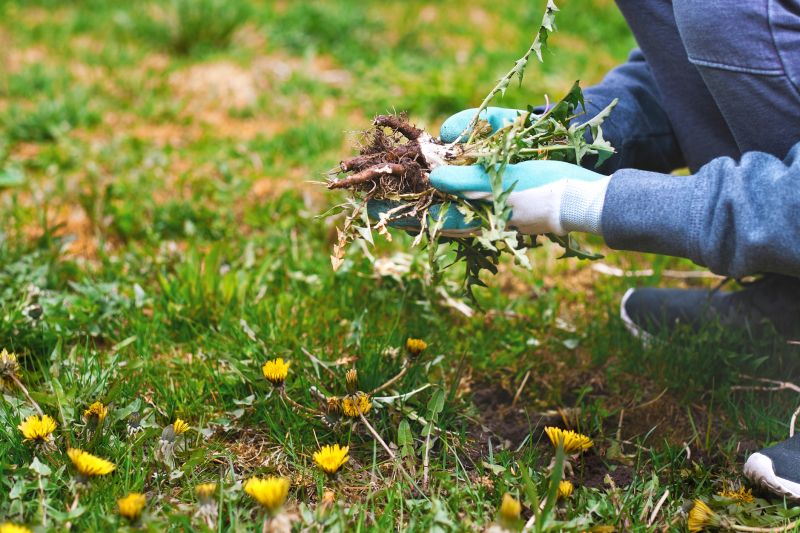 Garden Weed Management