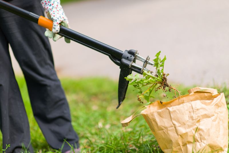 Tools Used in Weed Pulling