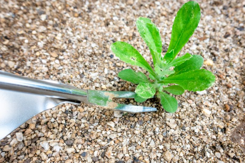 Power Tools for Weed Removal